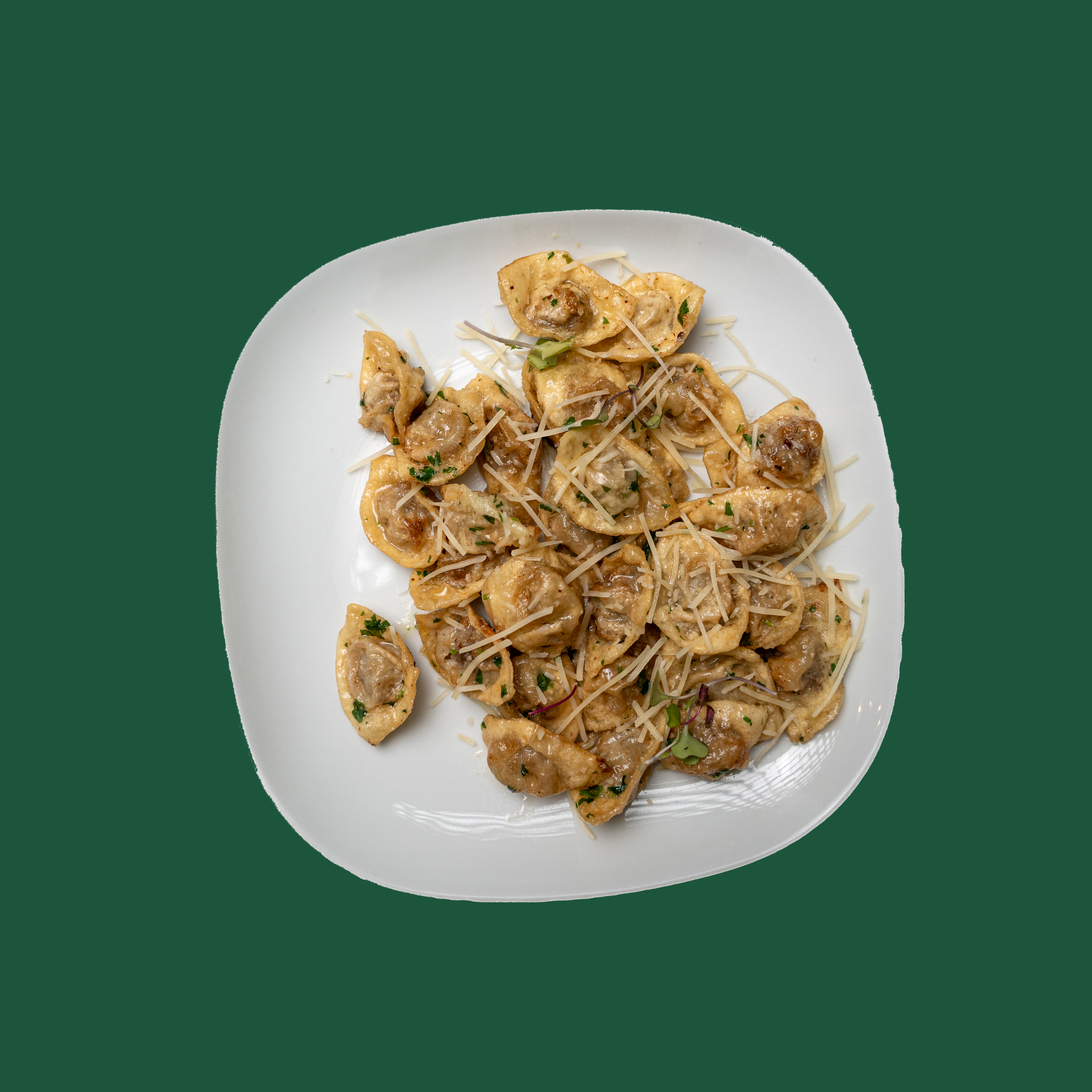 Fried Beef Dumplings