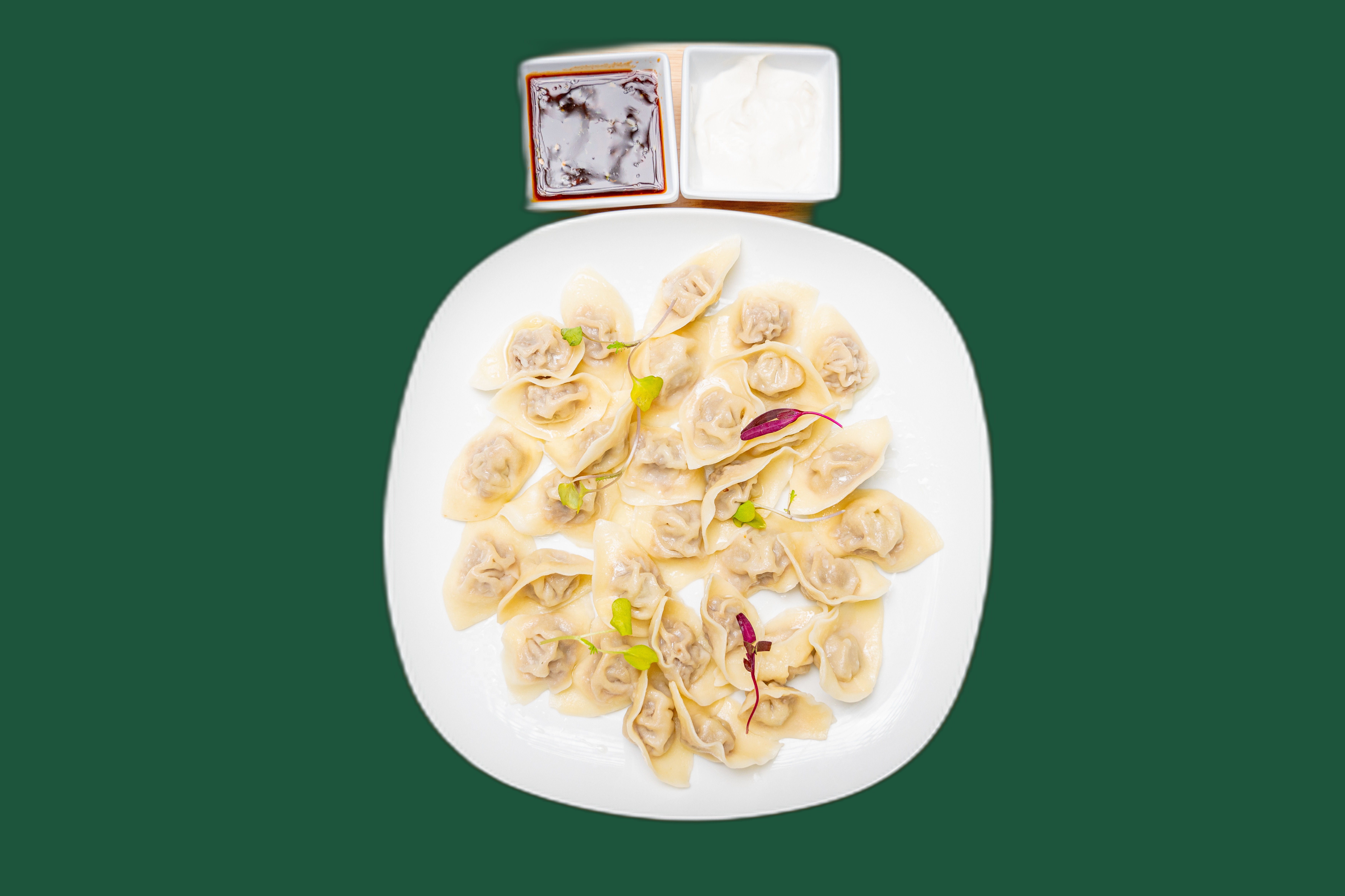Beef Dumplings